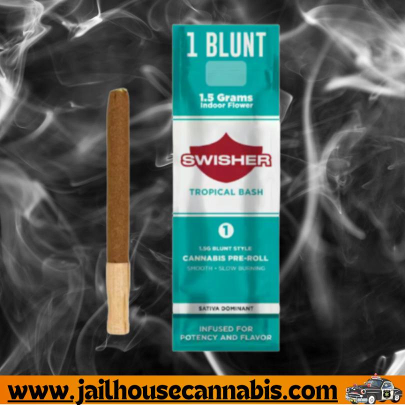 Tropical Bash | Infused Blunt | 1.5g