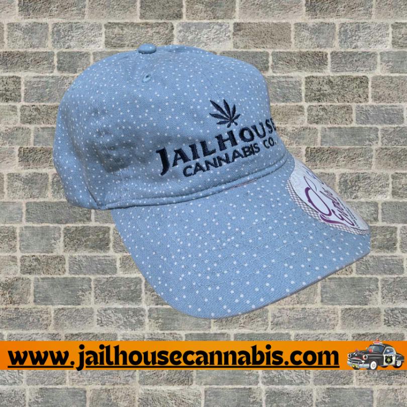 Ponytail Hat - Blue W/ Polka Dots