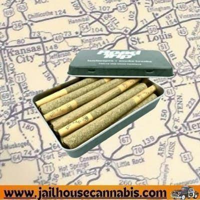 Road Trip - Spritzer - 12x 1g Preroll (H)