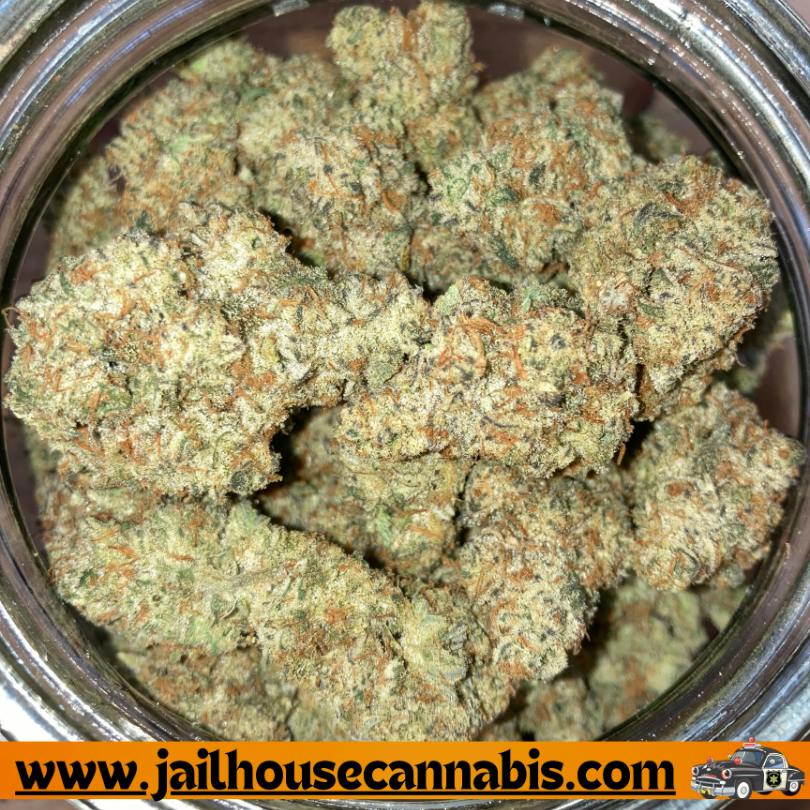 RMG - Siesta Key OG (S)