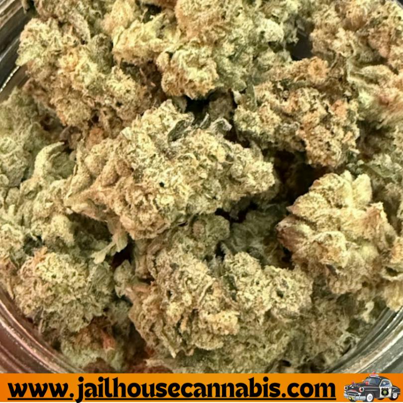 Freedom Green - Peanut Butter Cup (IH)