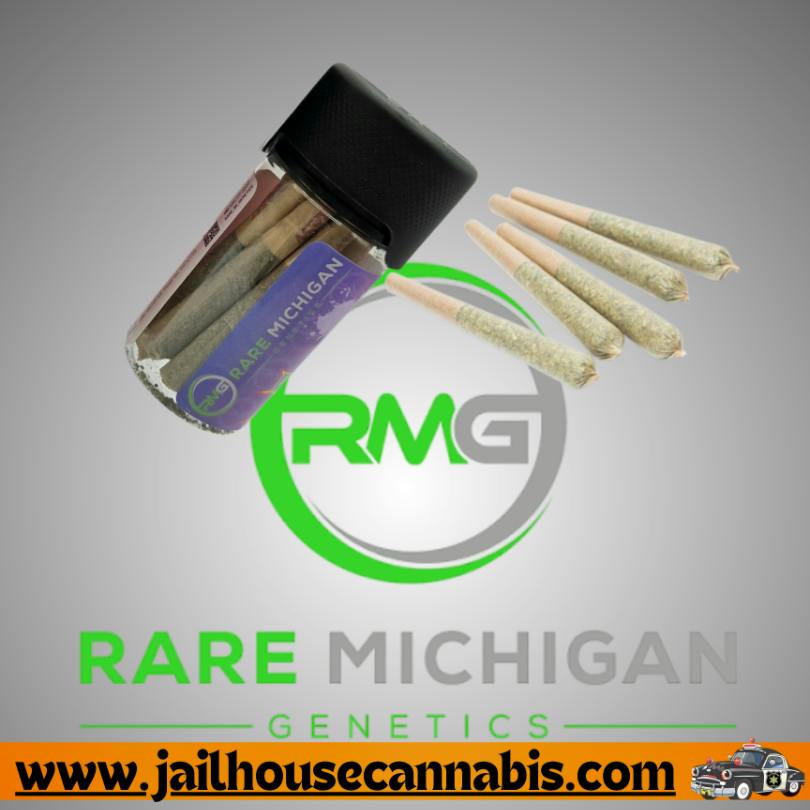 RMG Dogwalker 10-pack x .5g (I) - Daiquiri Deck