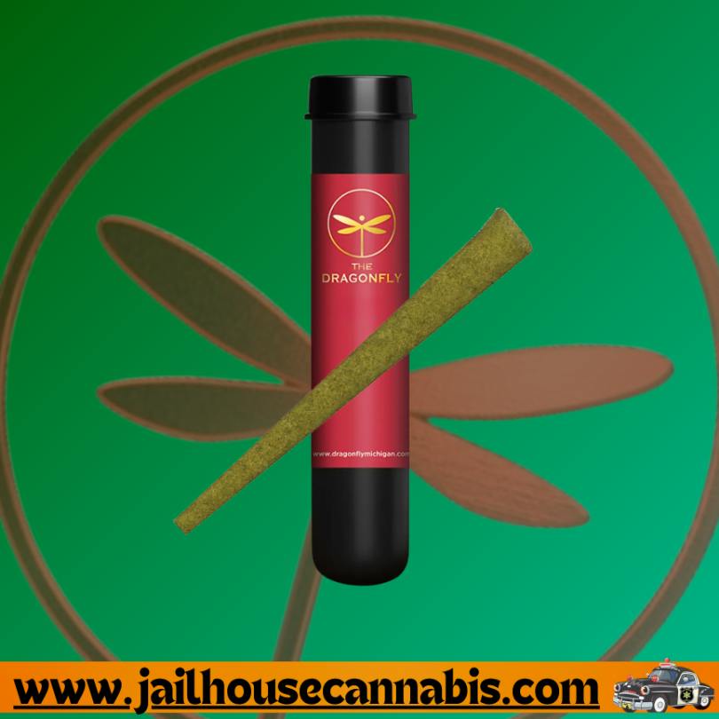 Dragonfly - Cheddar Cheese 1g Blunt (IH)