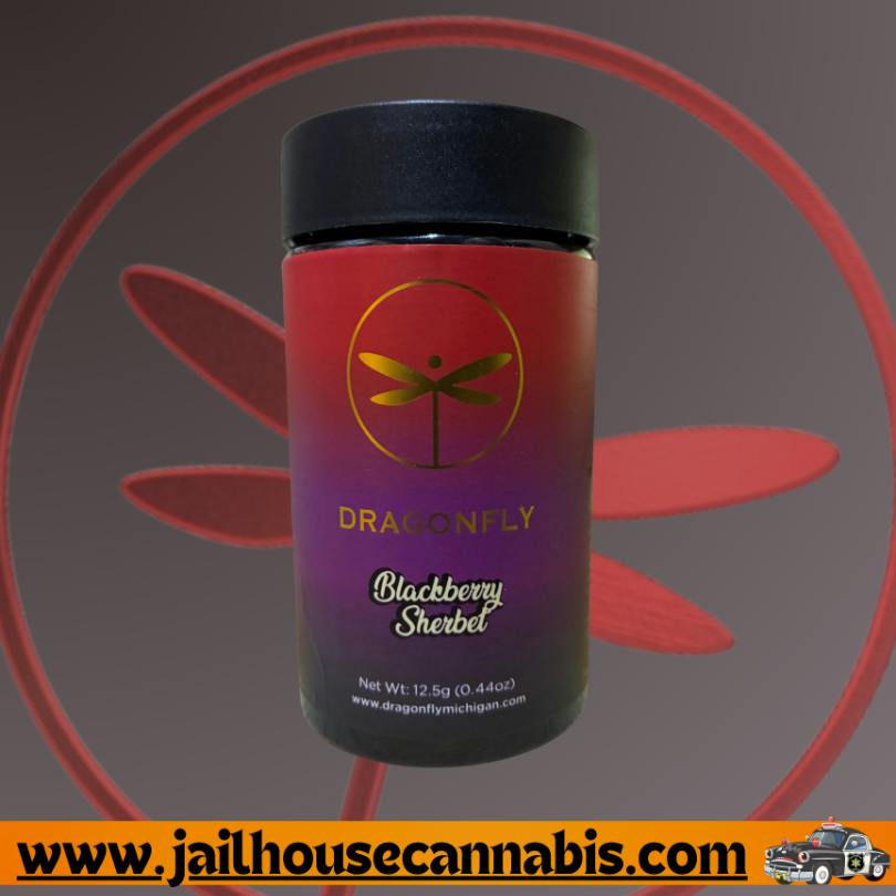 Dragonfly - 1.25g Infused Prerolls | 10 pack | Blackberry Sherbet