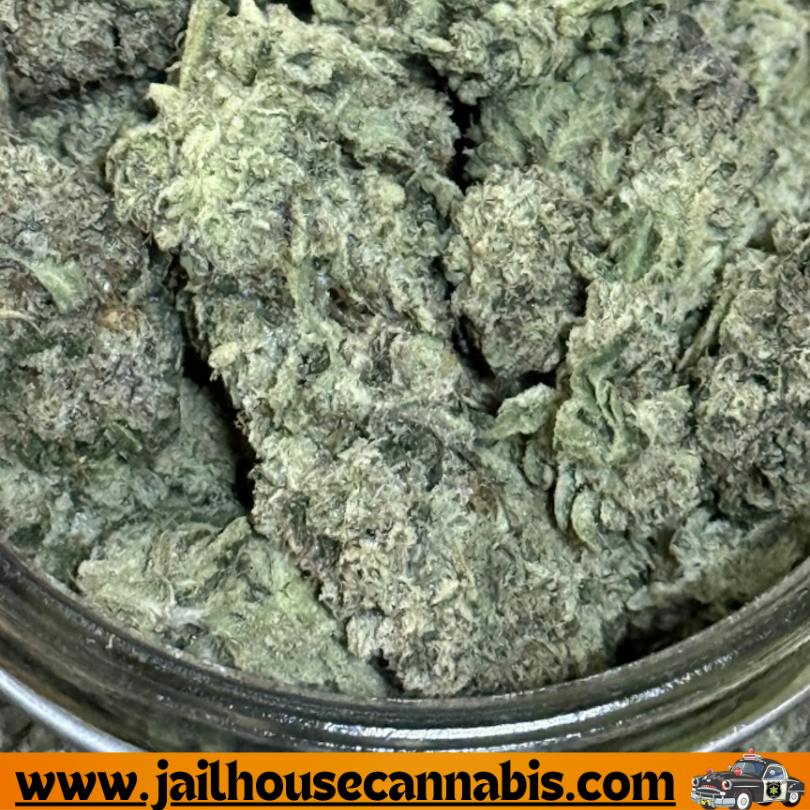 Bud Hub - Jack Herer (S)