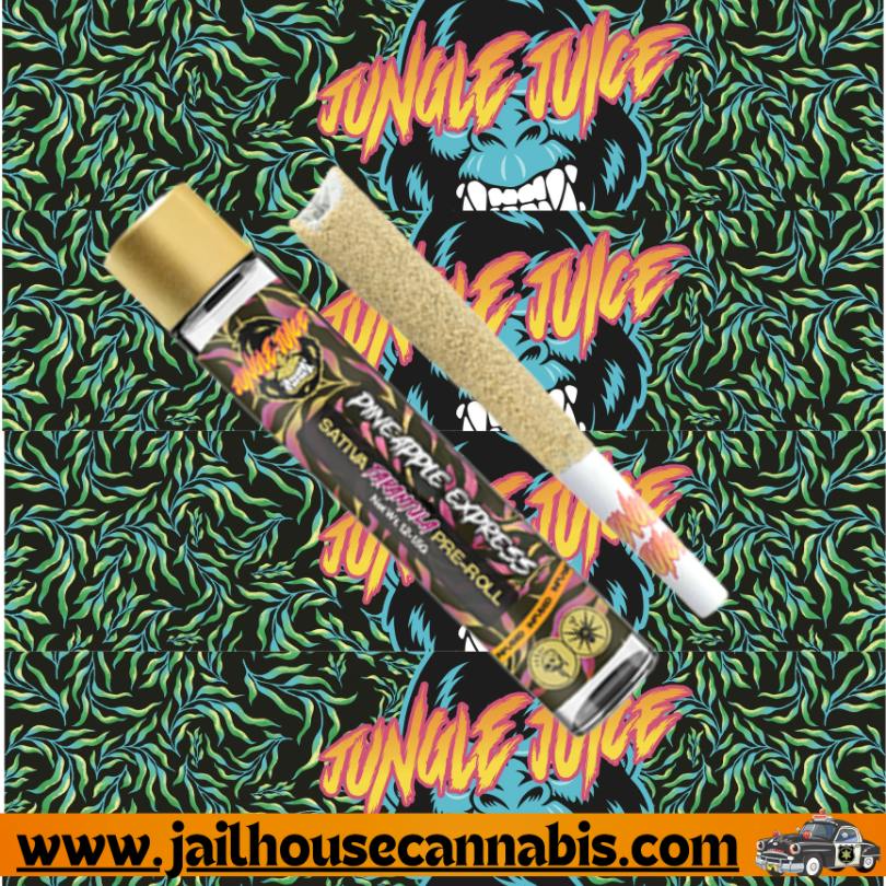 Jungle Juice Tarantula - Pineapple Express (S)