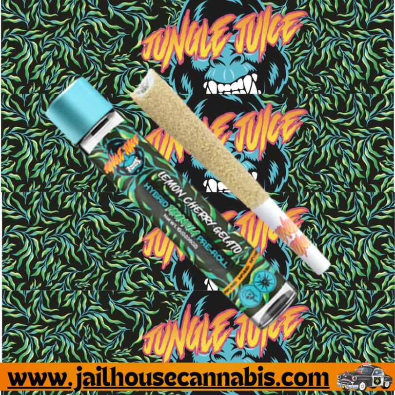 Jungle Juice Tarantula - Lemon Cherry Gelato (H)