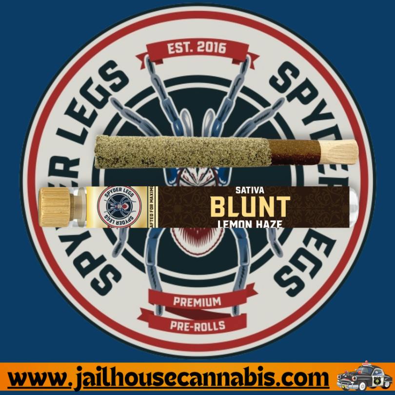 Spyder Legs Infused Blunt 2g - Lemon Haze (S)