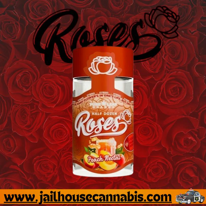 Roses - Peach Nectar Multi pack 3.6g
