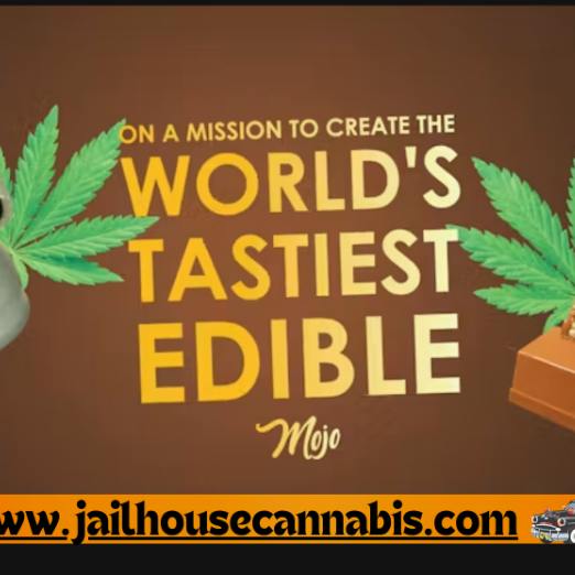 Mojo - Chocolate - Wake N Bake White Chocolate - 200mg (Sativa)