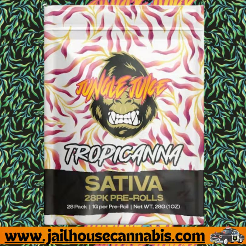Jungle Juice - 28 Pack - Tropicanna (S)