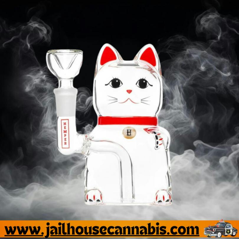 5" HEMPER Lucky Money Cat Bong/ Water Pipe