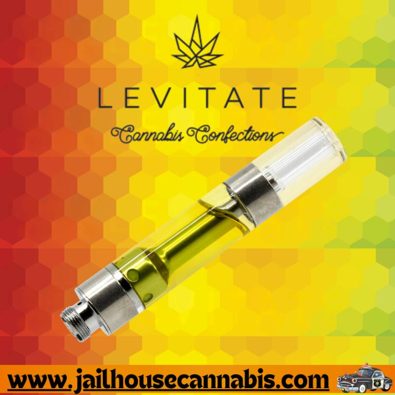 Levitate - Watermelon THC/CBD 1g Cart (H)