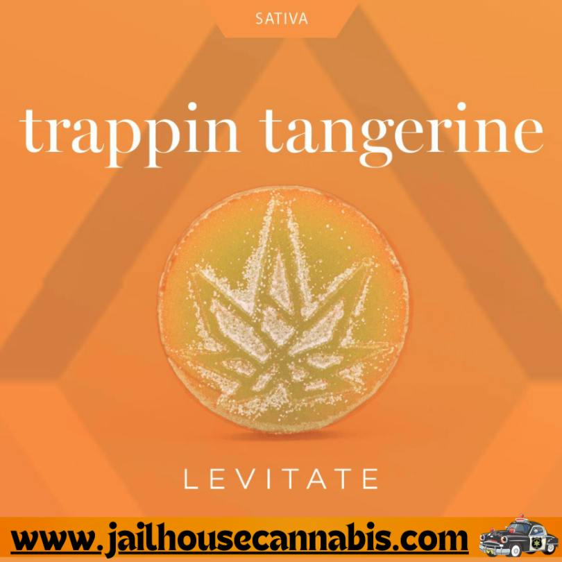 Levitate - Trappin Tangerine - Sluggers 200mg (S)
