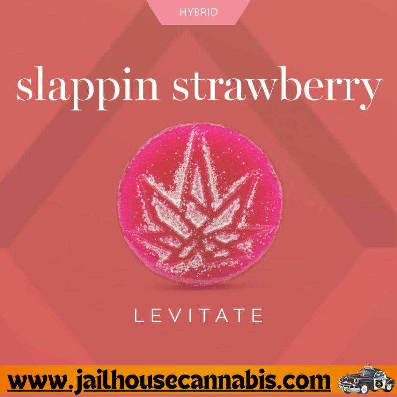 Levitate - Slappin Strawberry - Sluggers 200mg (H)