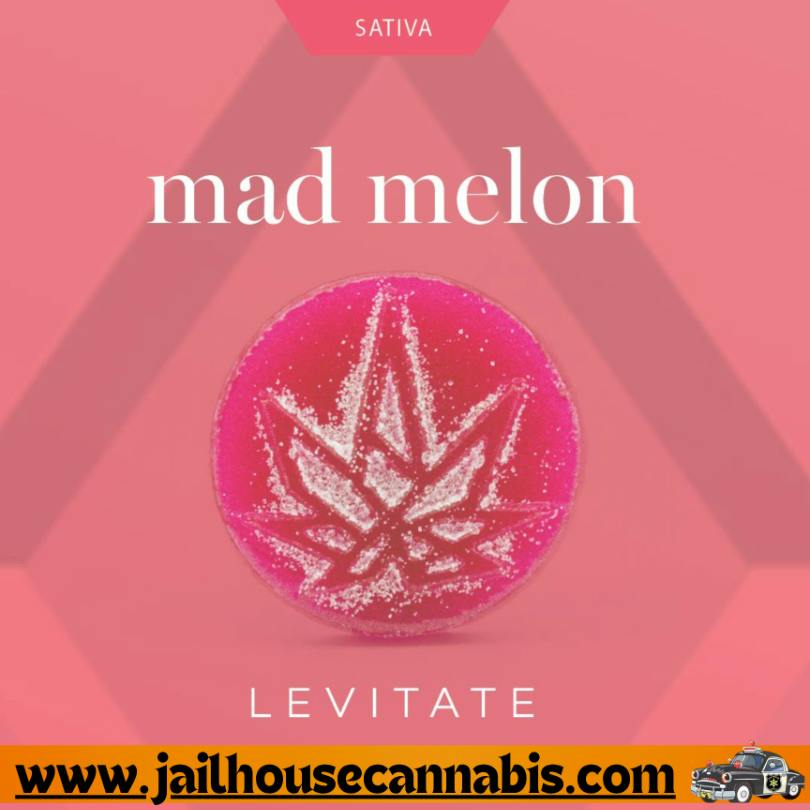 Levitate - Mad Melon - Sluggers 200mg (S)