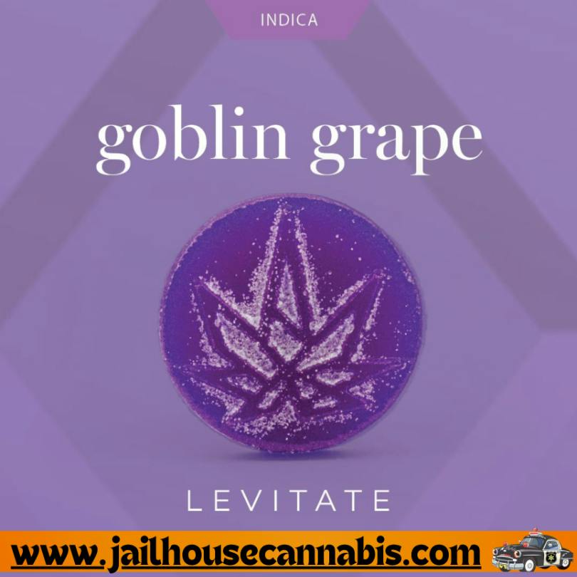 Levitate - Goblin Grape - Sluggers 200mg (I)