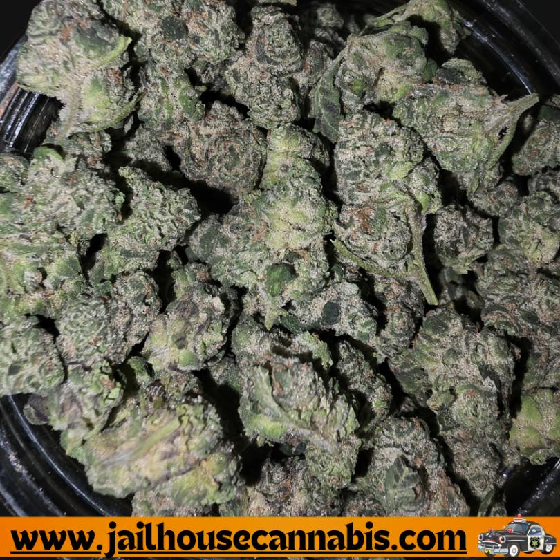 Grape Ape - Highway Horticulture Flower (I)