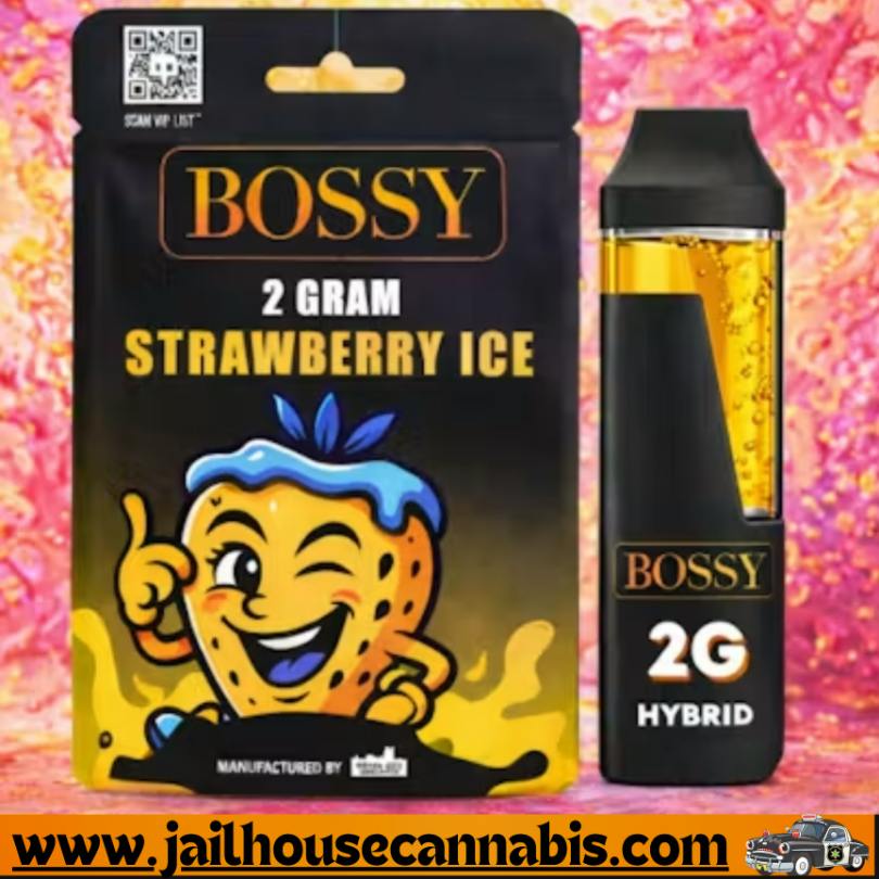 Bossy - Strawberry Ice - 2G Disposable (H)