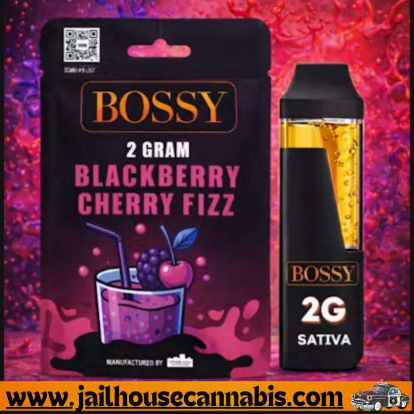 Bossy - Blackberry Cherry - 2G Disposable (S)