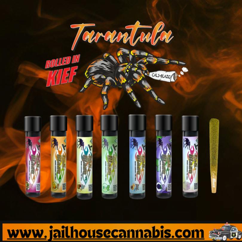 Blaze Tarantula - Mango Infused 1g