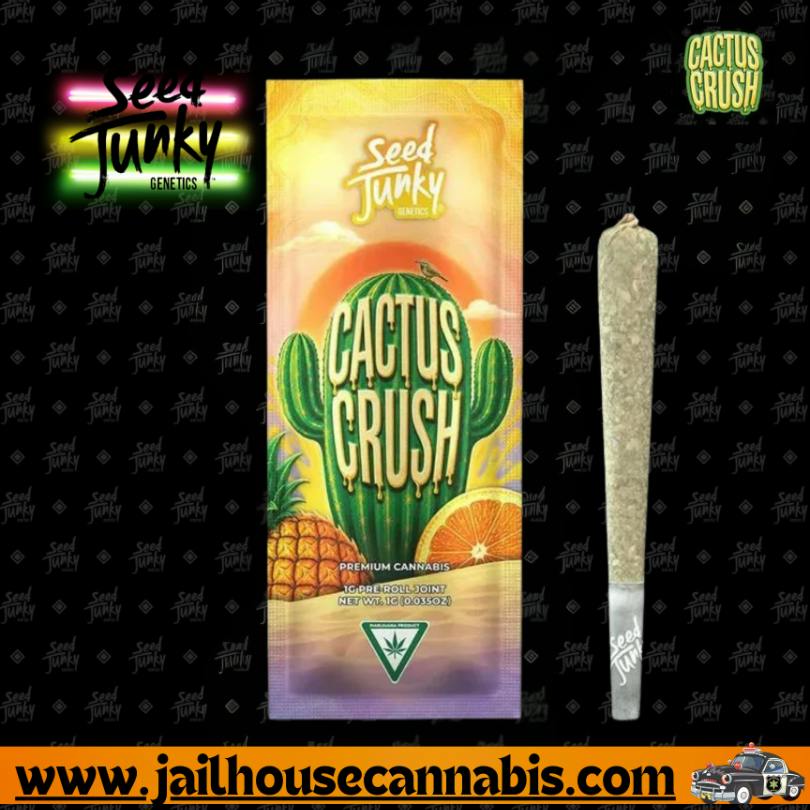 Seed Junky PR - 1g Cactus Crush (IH)