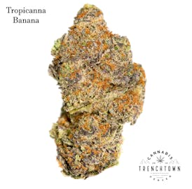 Tropicana Banana - Rec