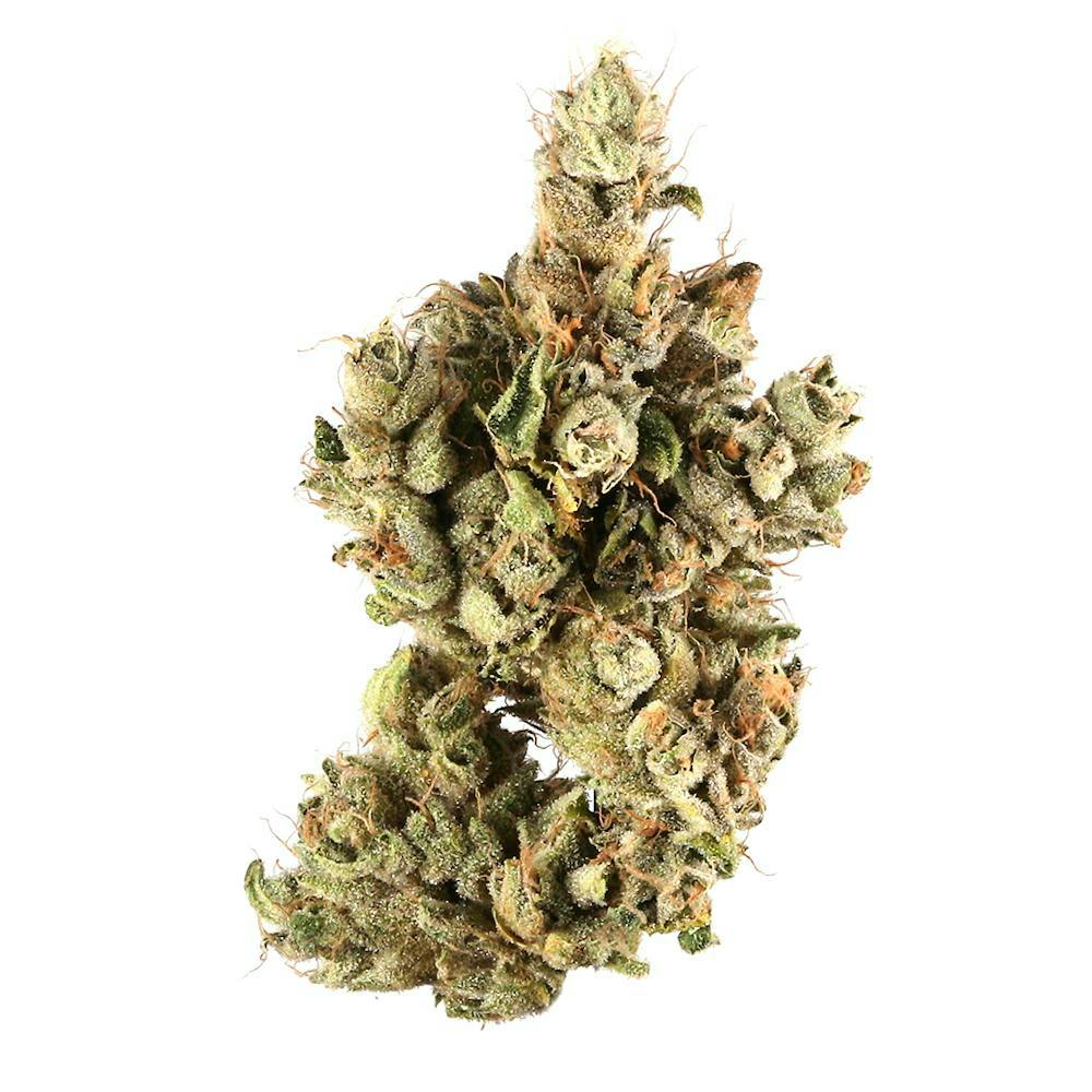 Trenchtown | Buds | Pre-98 Bubba (M)