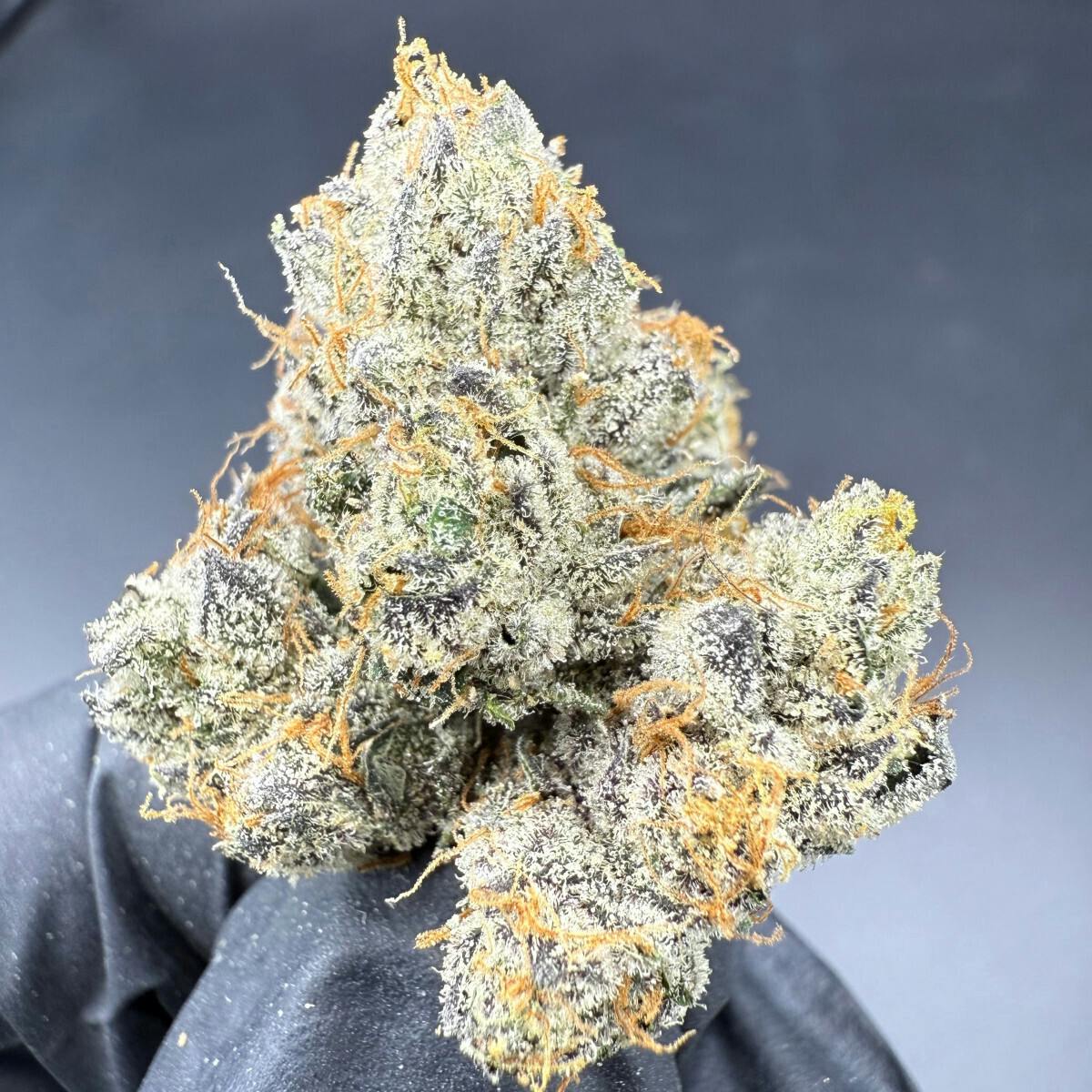 Herbal Dreams Runtz Flower