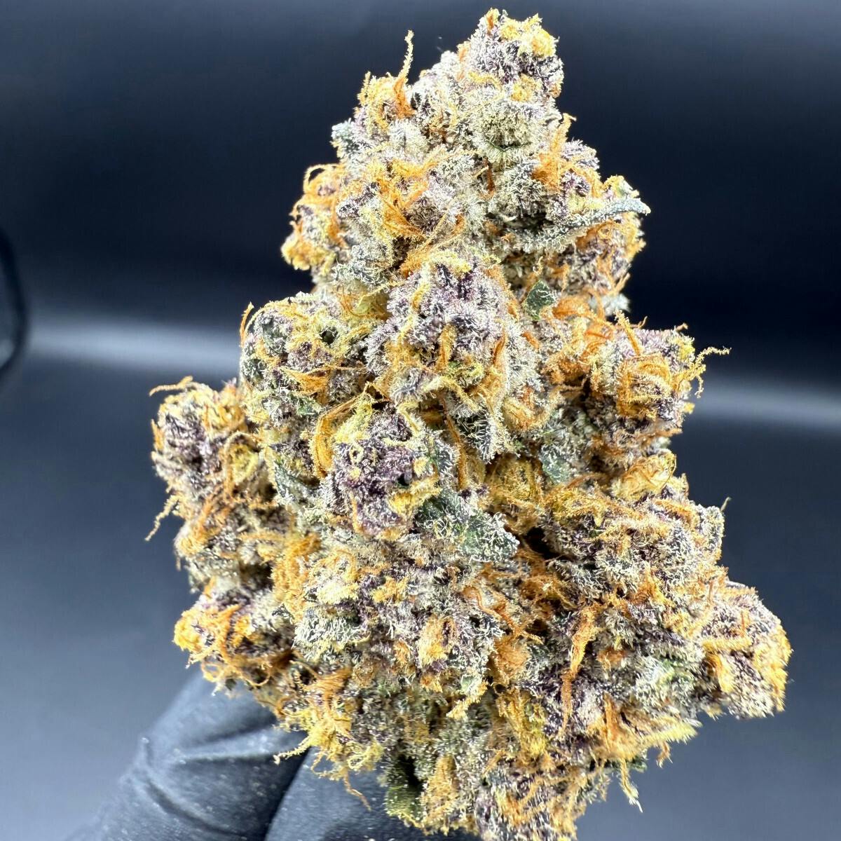 Herbal Dreams Cherry Loops Flower