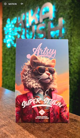 Artsy - Eighth - Super Stylin