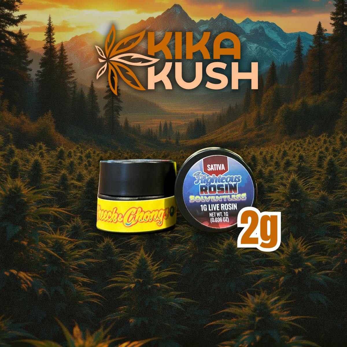 Cheech & Chong - Rosin - 2g - REC - Fizzy BOOF (H)