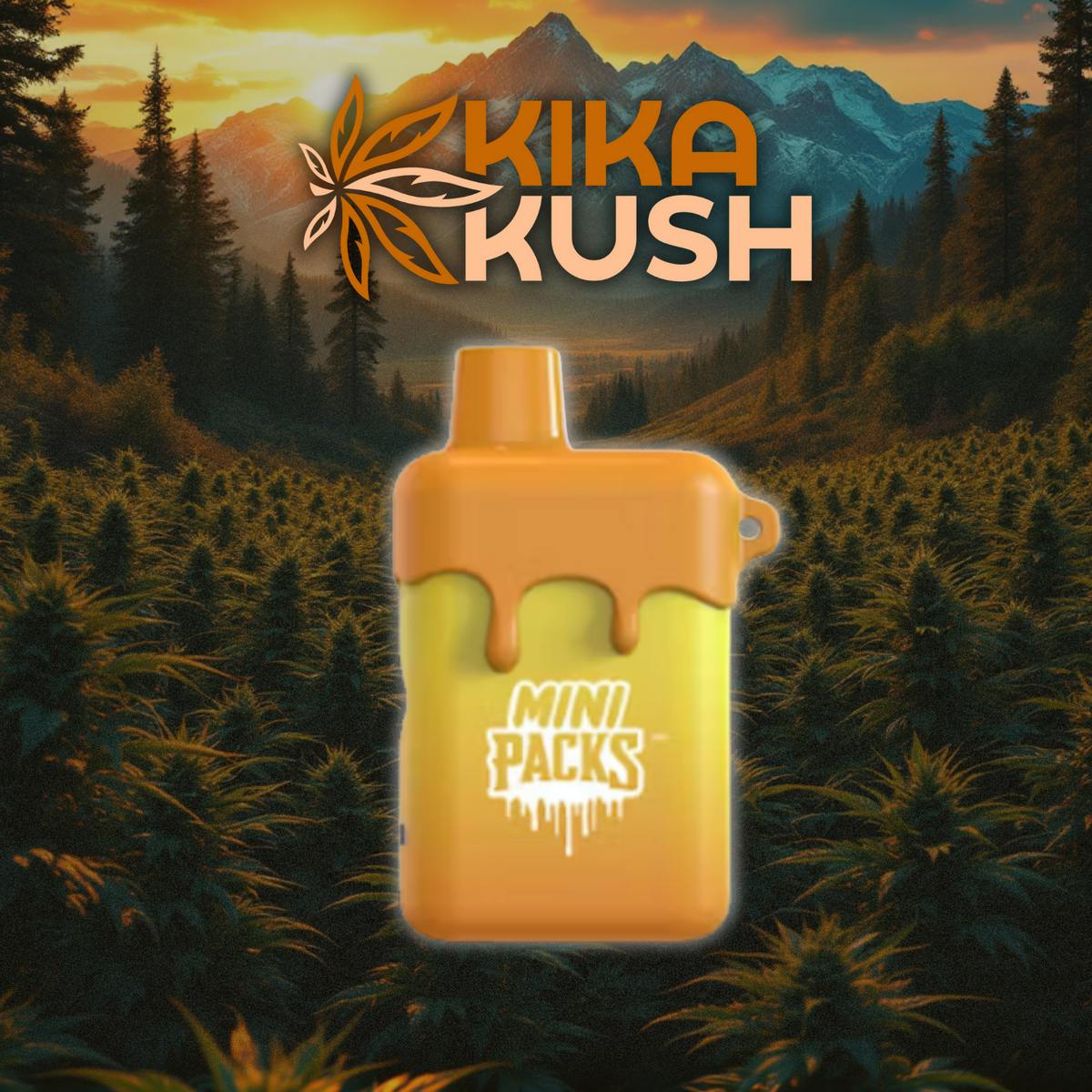 Mini Packs Pods - Disposable - 1000mg - REC - Orange Creamsicle (H)