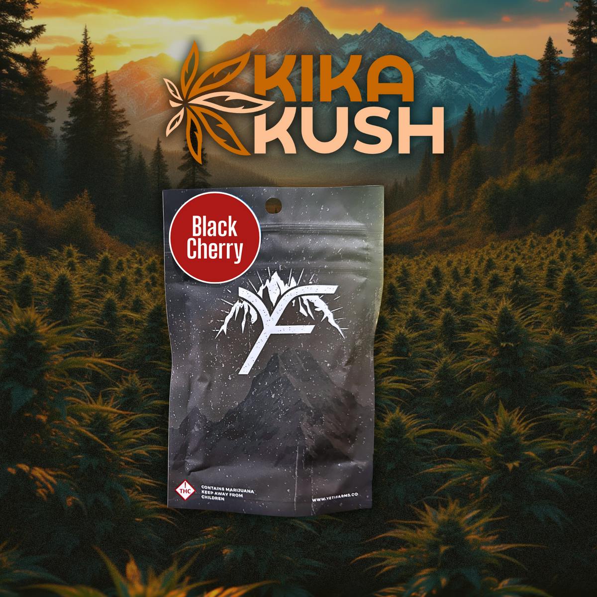 Yetibles - Gummies - REC - Black Cherry 100mg