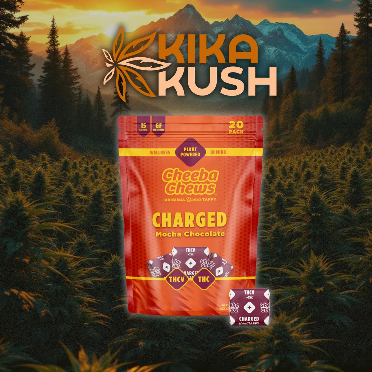 Cheeba Chews - REC - Charged - Energy - Mocha 100mg