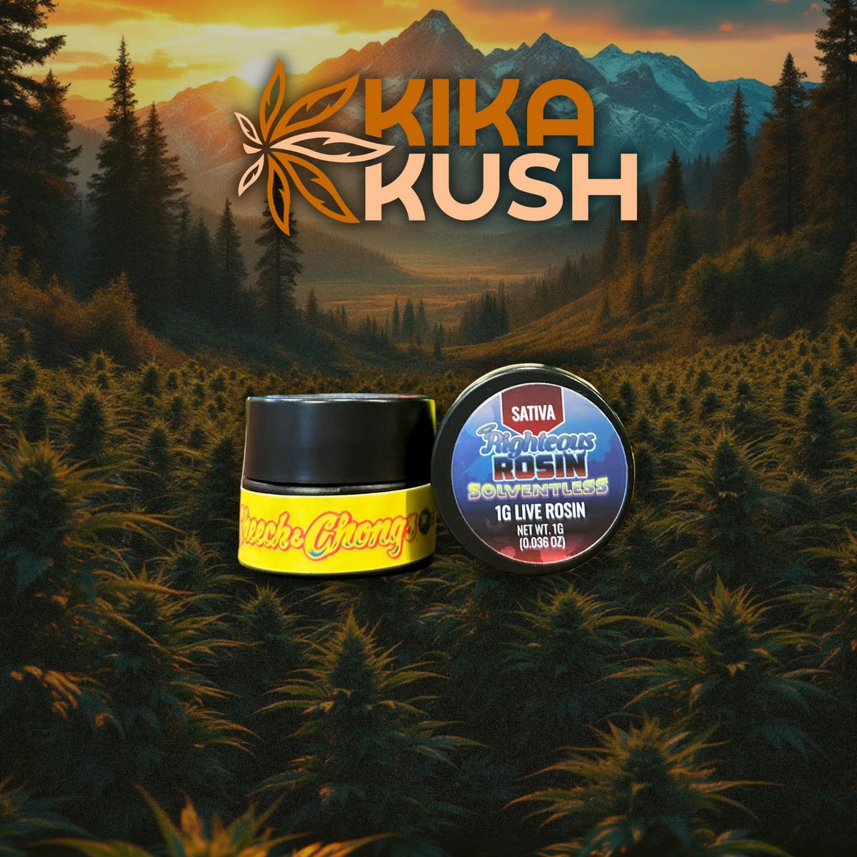 Cheech & Chong - Cold Cured Rosin - 1g - REC - Apricot AhhBerry (S/H)