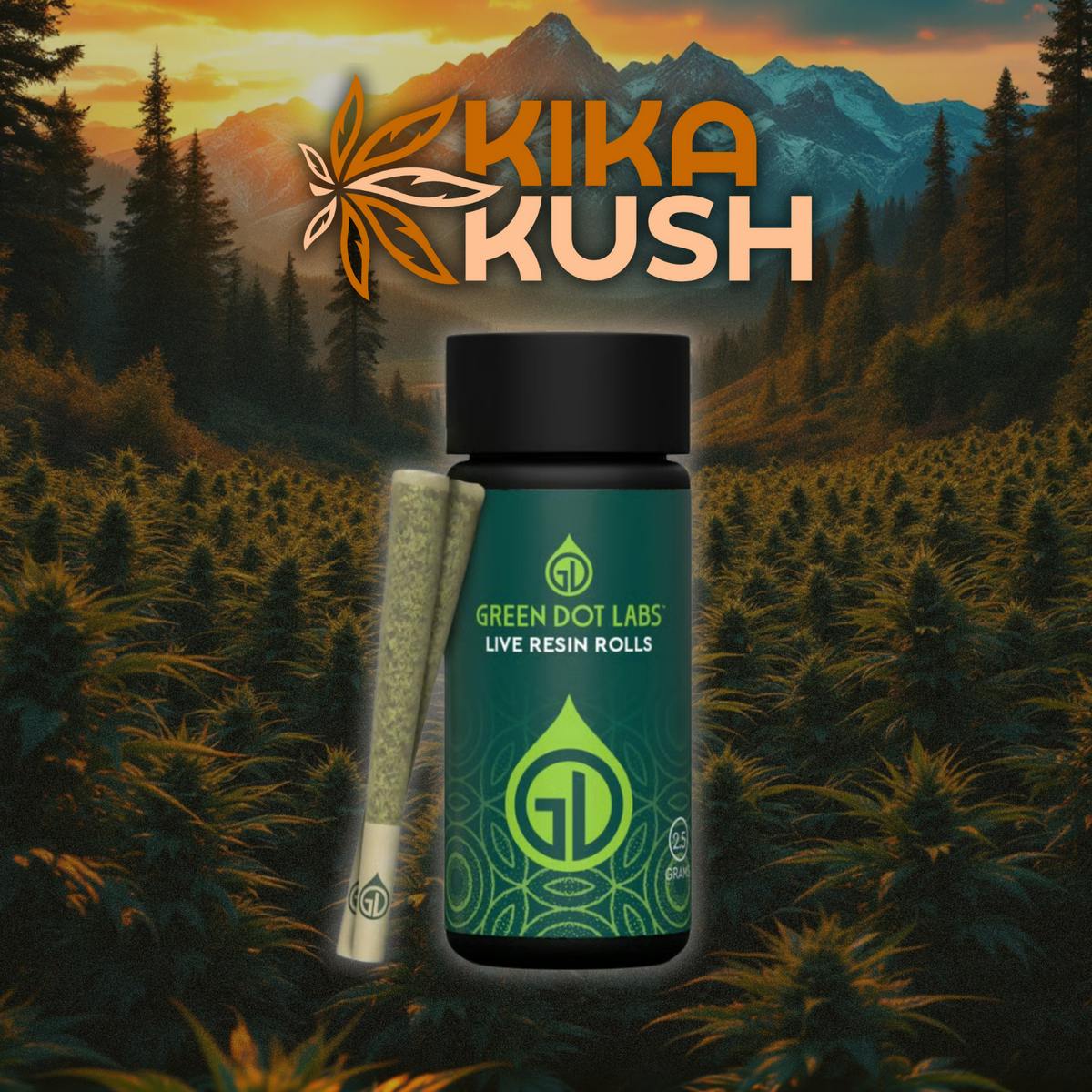 GreenDot - Live Resin infused Pre - Roll Pack - REC - Pink Froot + Pink Froot