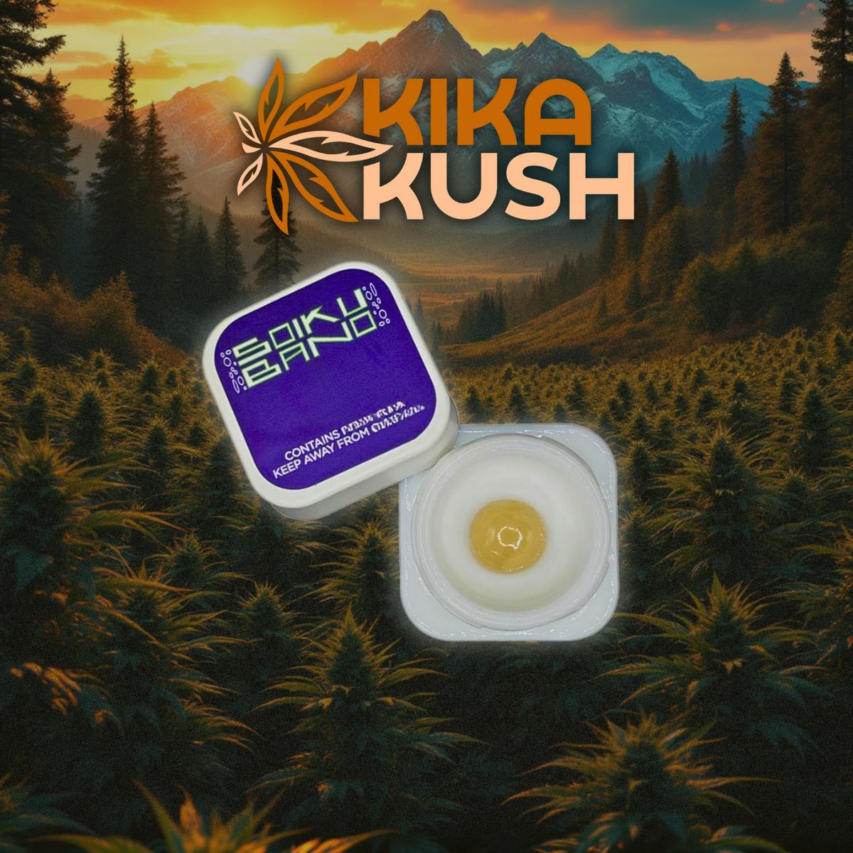 Soiku Bano - Purple Label Rosin - REC - RC JET (I)