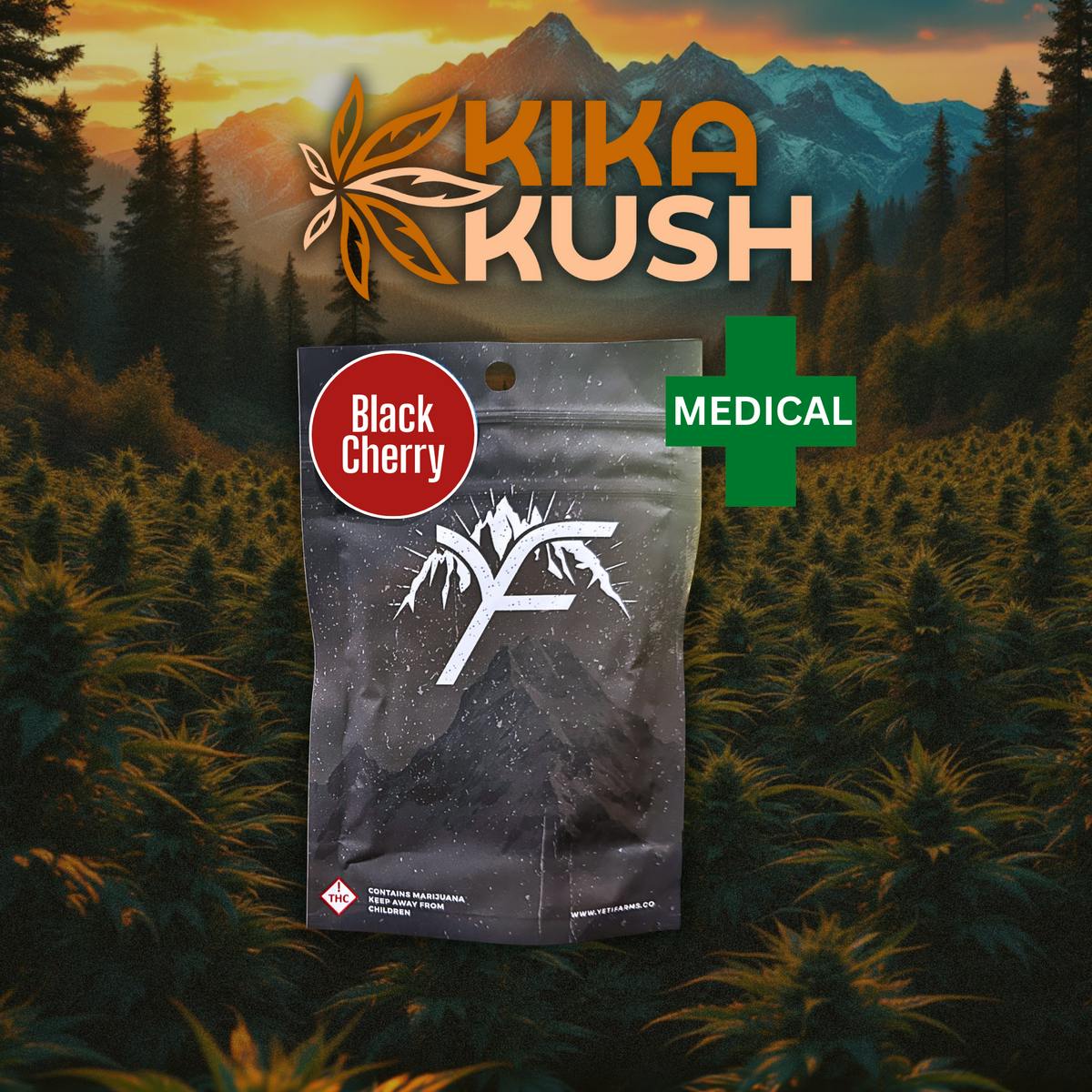 Yetibles - Gummies - Black Cherry 1000mg