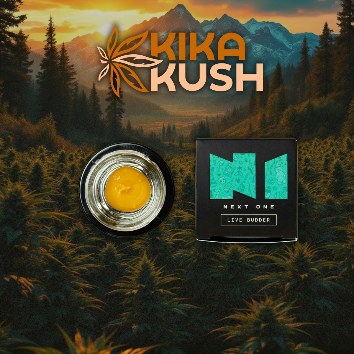 Next1 Labs - Live Budder - REC - Zeetah Pizz (I)