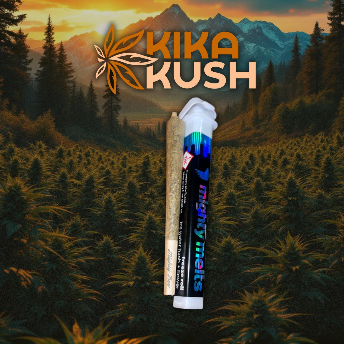 Mighty Melts - Freeze Roll - Pre Roll - 1g - REC - Beam Me Up (I/H)