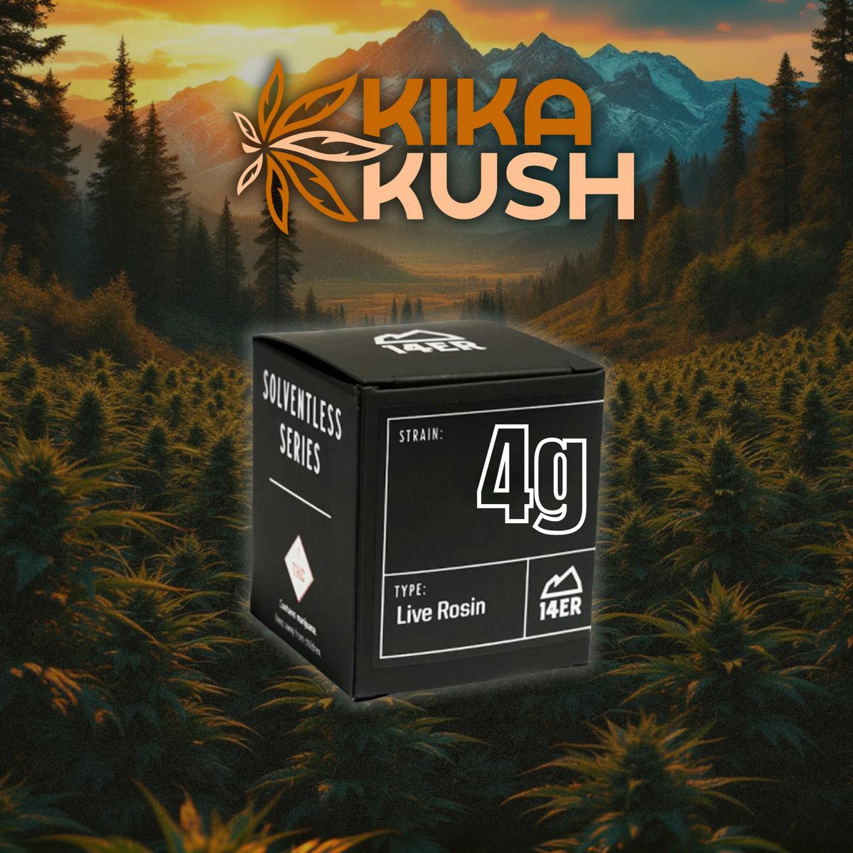 14ER - Rosin - 4g - REC - Black Maple (I/H)