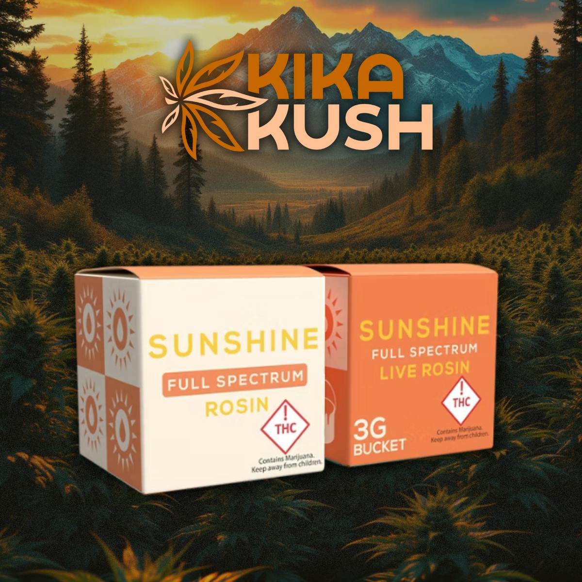 Sunshine Extracts - Full Spectrum Rosin - 3g - REC - G-13 Skunk (I/H)