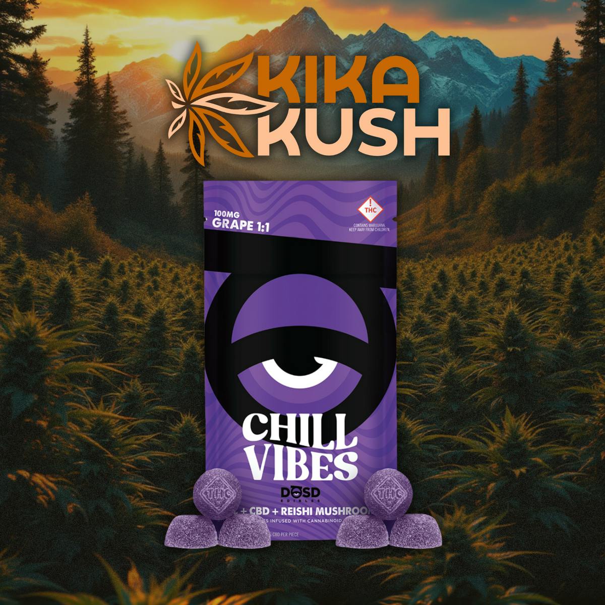 DOSD - Gummies - REC - Chill Vibes + Reishi Mushroom - Grape 1:1
