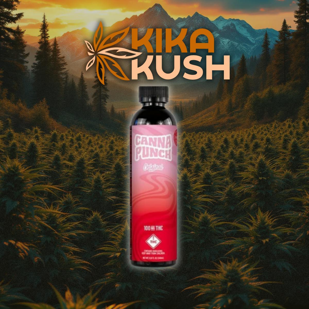 CannaPunch - Drinks - REC - Strawberry Melon 100mg