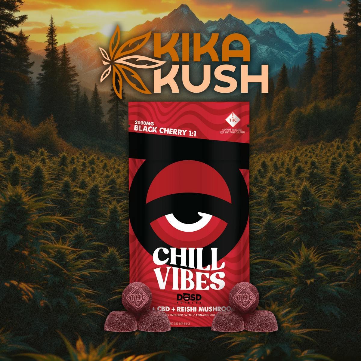DOSD - Gummies - REC - Chill Vibes + Reishi Mushroom - Black Cherry 1:1
