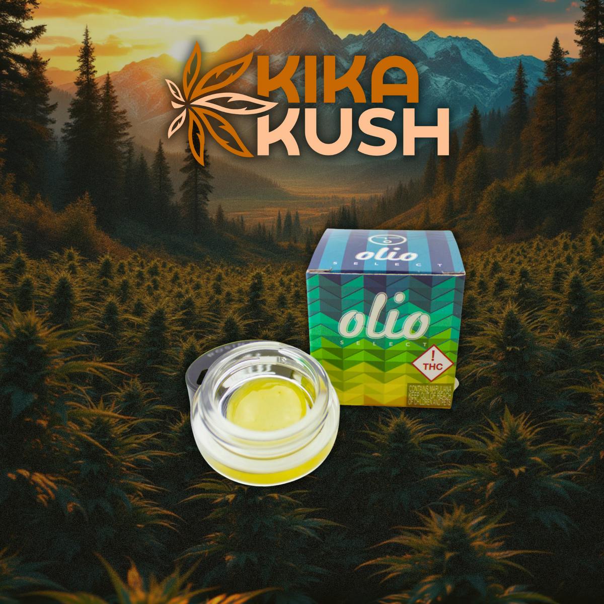 Olio - 90u Rosin - 1g - REC - Dumpster Fire (H)