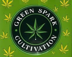 Cherry Pop Tart | Flower 3.5g at Star Buds Medical Cannabis Dispensary Oxford