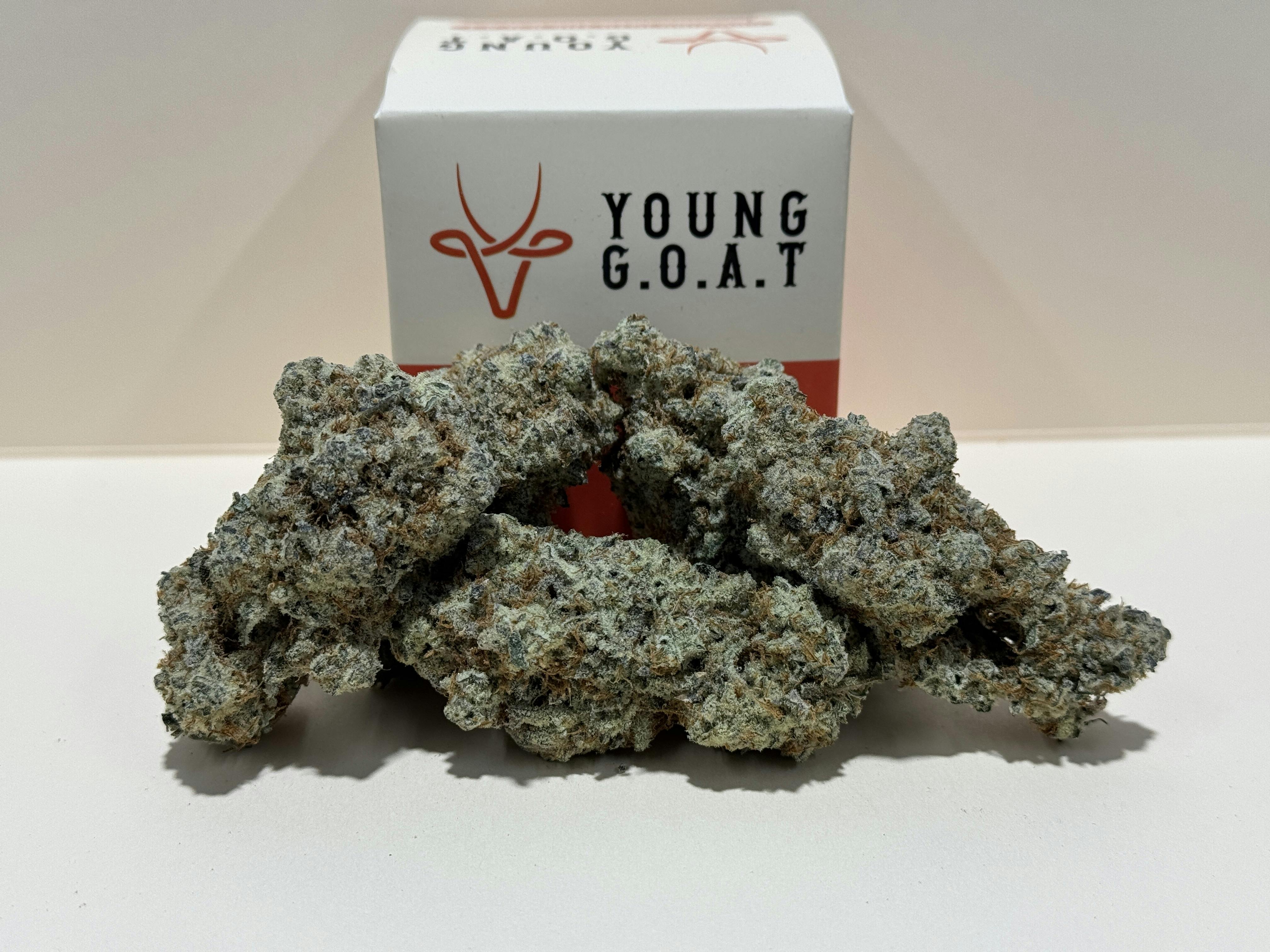 White Inferno | 7g Flower