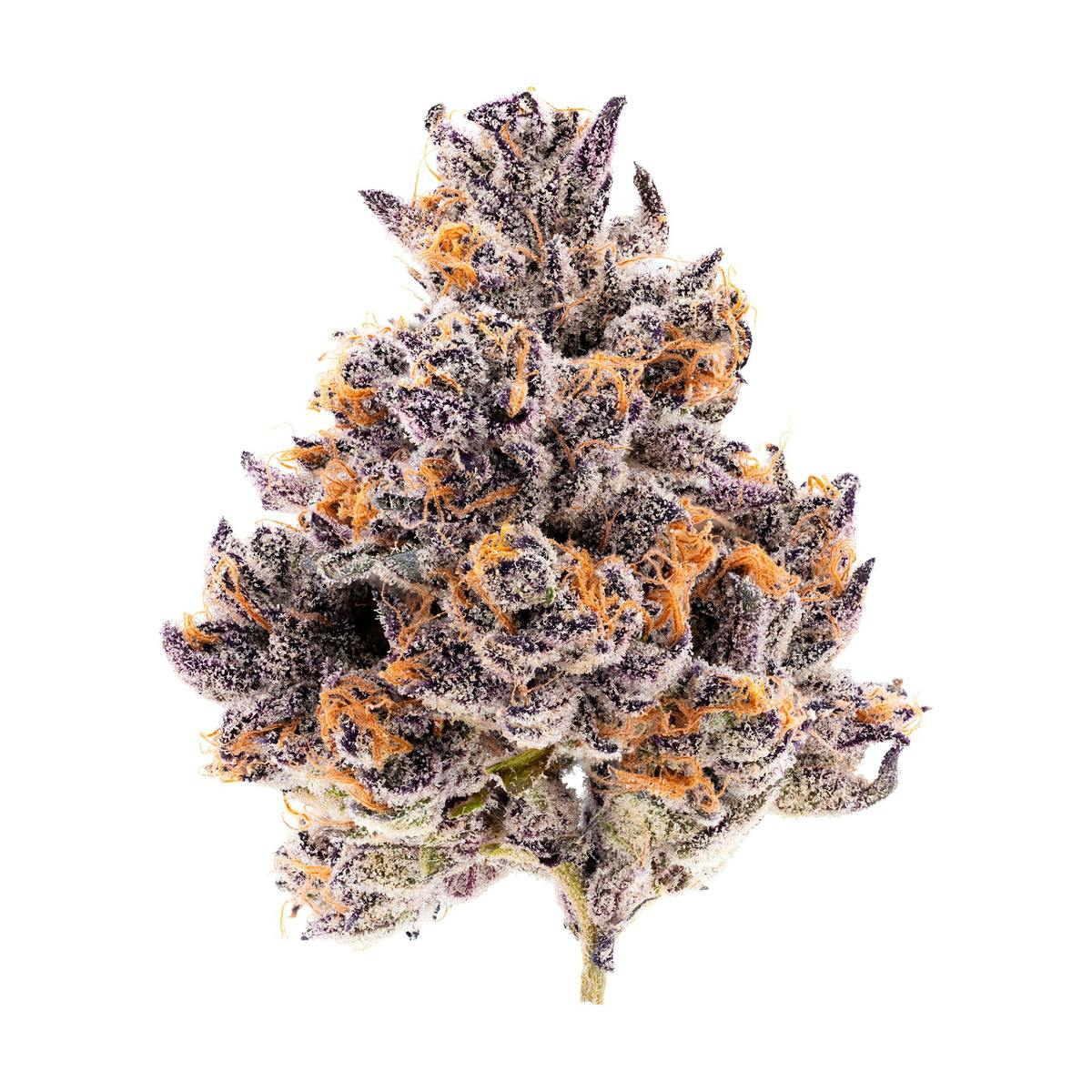 PRESSURE: Bodega - Indica - 3.5g - Bag